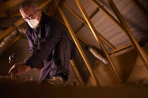 Best Eco-Friendly Insulation in Huntingtown, MD